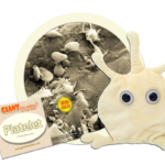 Platelet (Thrombocyte) - Plush Toy