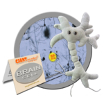 Brain Cell (Neuron) - Plush Toy