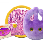 Stomach Parietal Cell Plush Toy