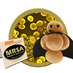 MRSA (Multiple-Resistant Staphylococcus Aureus) - Plush Toy