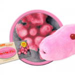 Swine Flu (Influenza A Virus H1N1) - Plush Toy