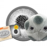 HPV (Human papillomavirus) - Plush Toy