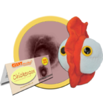 Chickenpox (Varicella-Zoster Virus) - Plush Toy