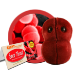 Sore Throat (Streptococcus pyogenes) - Plush Toy