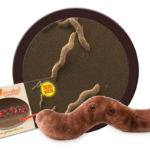 Diarrhea (Campylobacter Jejuni) - Plush Toy